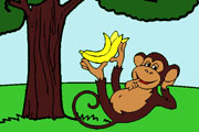 Funny Monkey Coloring