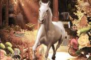 Majestic Mares Hidden Object